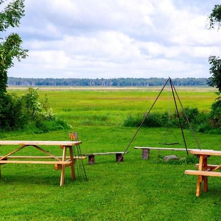 Hotel Wilcza Nora - Pole Biwakowe Dolistowo Nowe Exterior foto